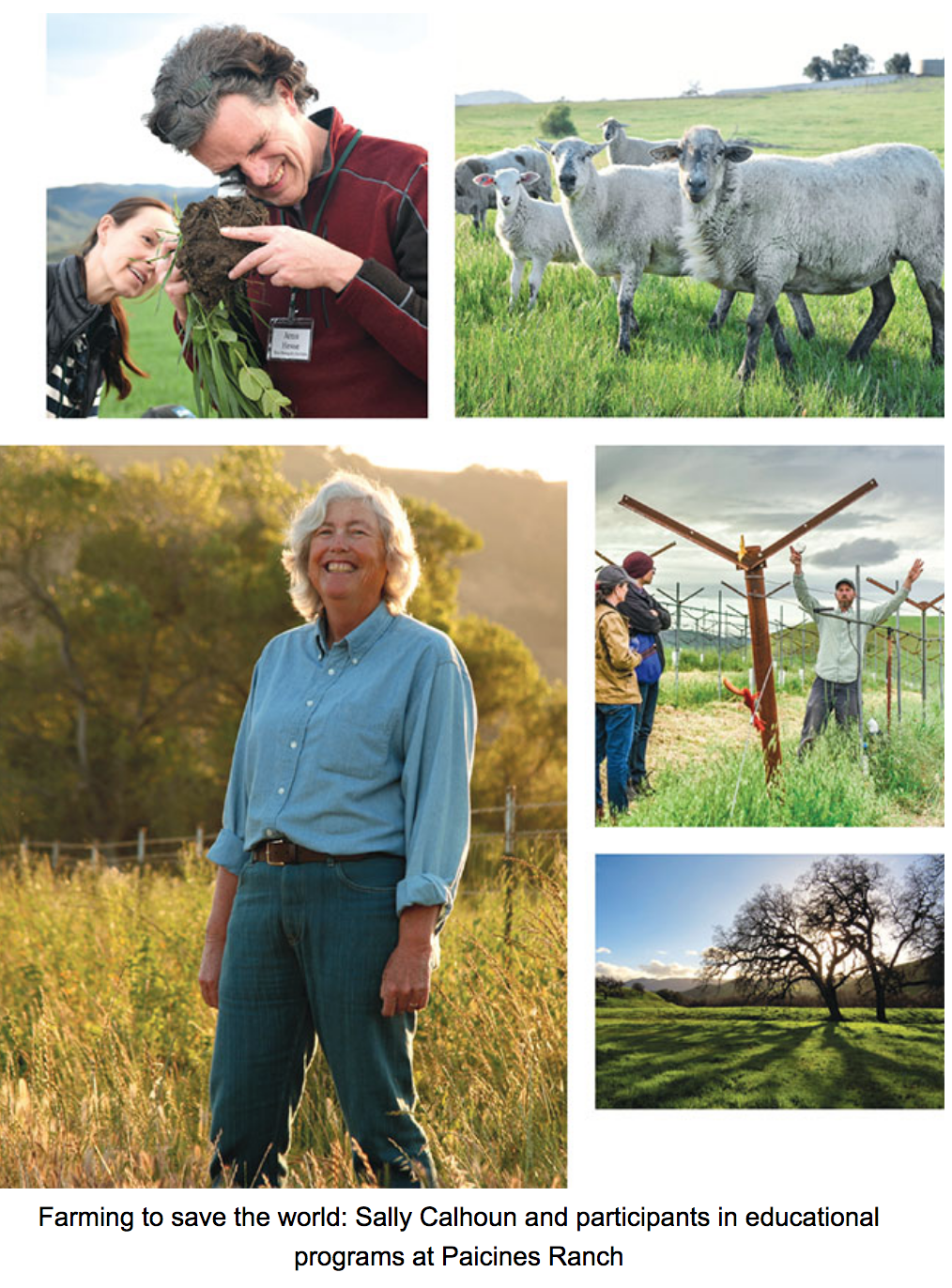 Screen Shot 2018-12-17 at 7.22.08 PM