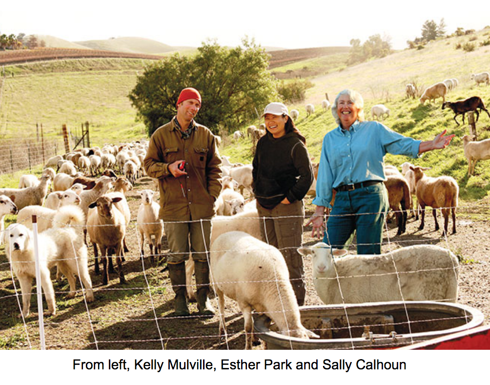 Screen Shot 2018-12-17 at 7.22.27 PM