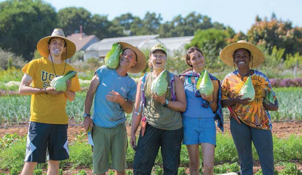 Screen Shot 2018-12-17 at 7.29.43 PM