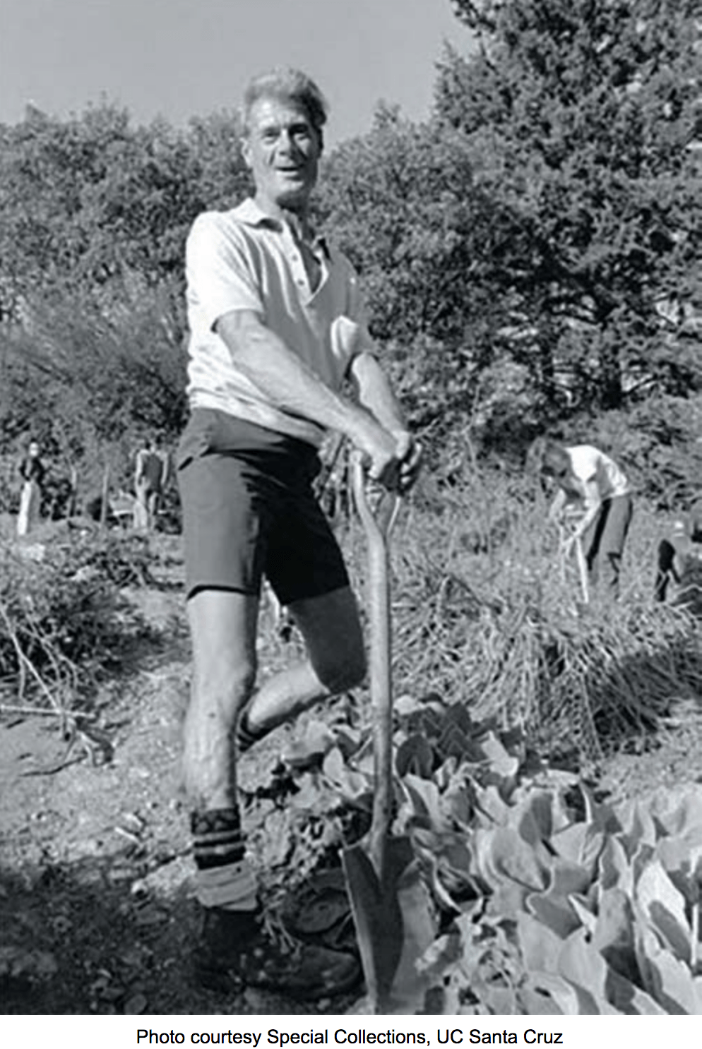 Screen Shot 2018-12-17 at 7.30.30 PM