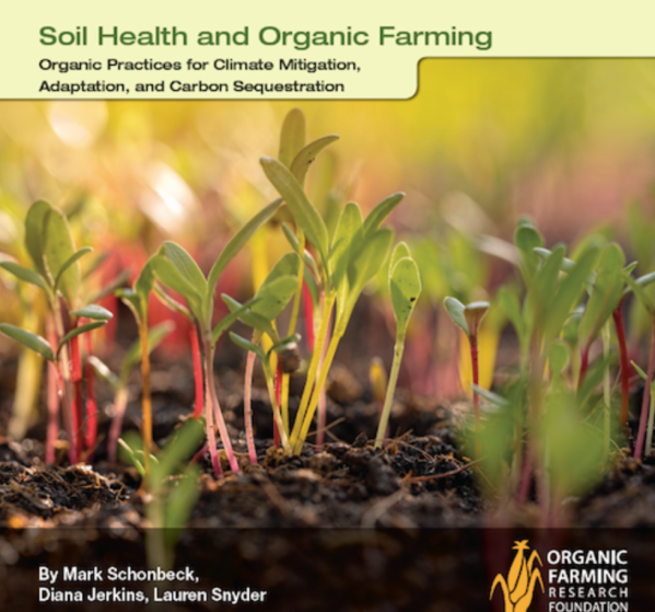 Screen Shot 2018-12-05 at 5.04.17 PM