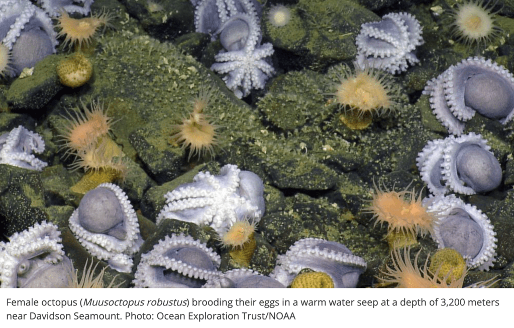 This image has an empty alt attribute; its file name is oct2.png